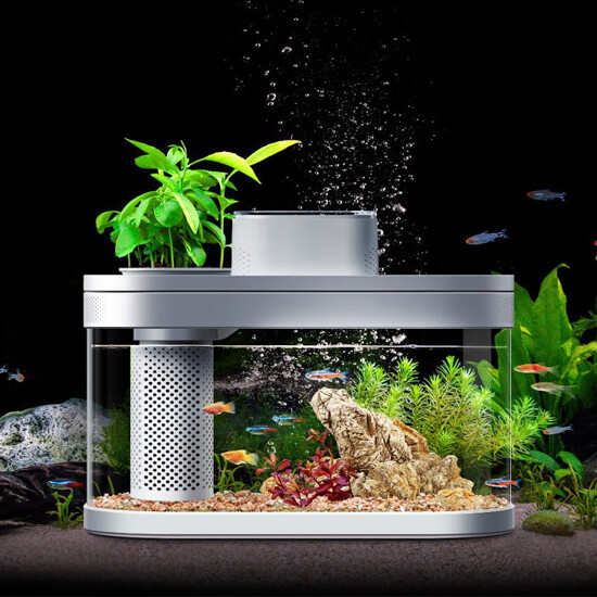 Desgeo Smart Fish Tank Wi-Fi with Automatic Dispenser - - Best price ...